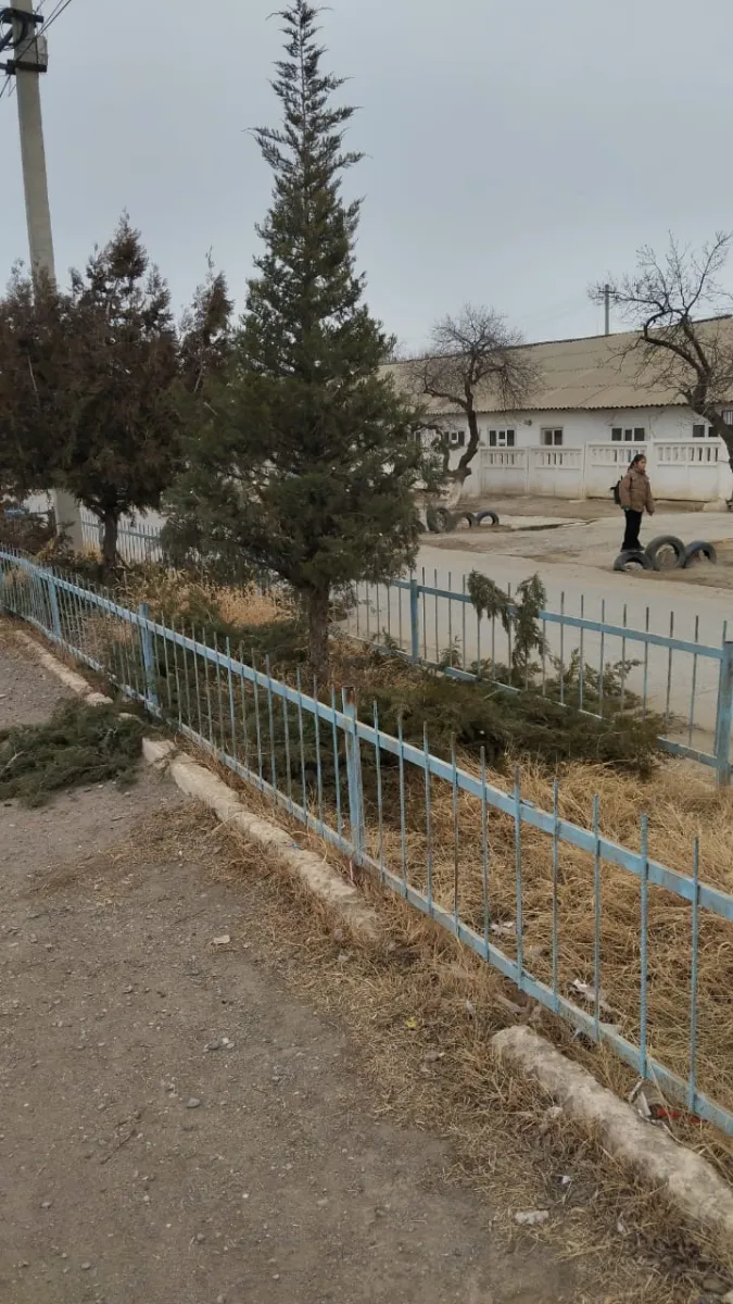 Айыл өкмөтүнүн аймагында көрктөндүрүү иштери кызуу жүрүүдө