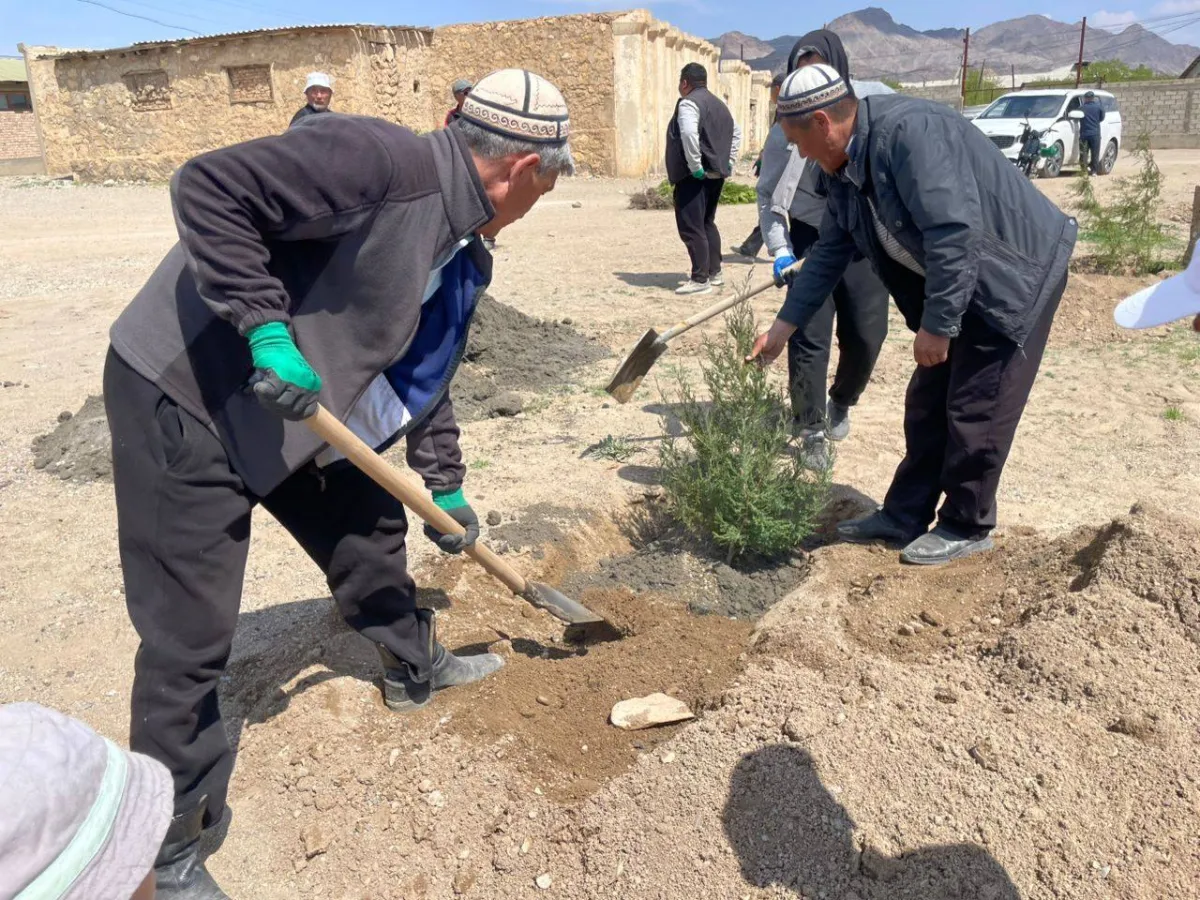 2026-жылдын 11-апрелинде Самаркандек айыл өкмөтүндө “Жашыл Мурас” улуттук өнөктүгүнүн алкагында 200 түп арча көчөтү отургузулду.